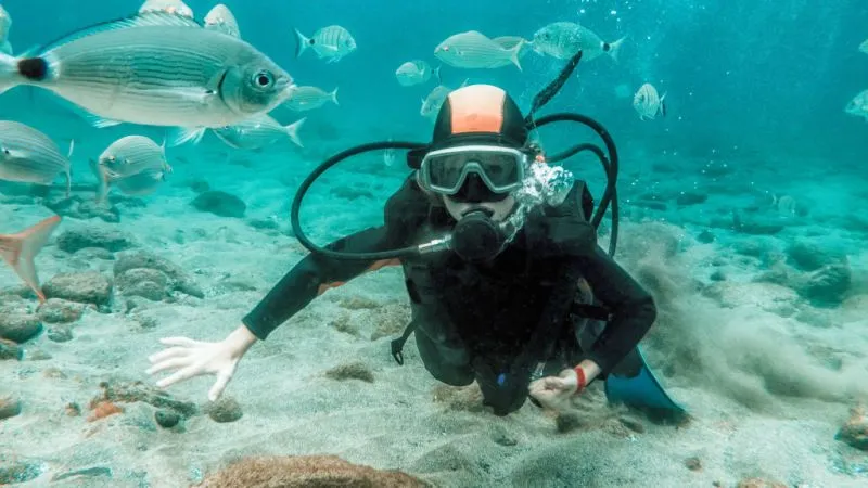 Explore Marine Life with Scuba diving
