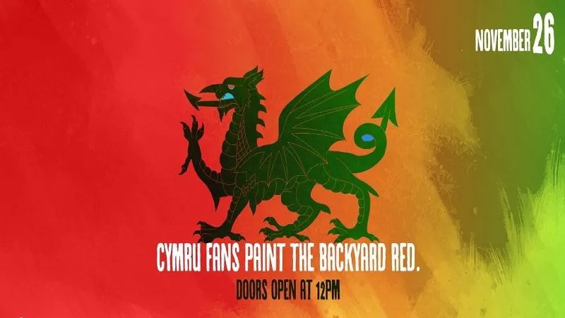 Cymru Fans Paint the Backyard Red