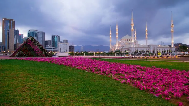 Sheikh Zayed Mosque