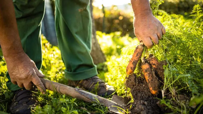 Permaculture Showcase