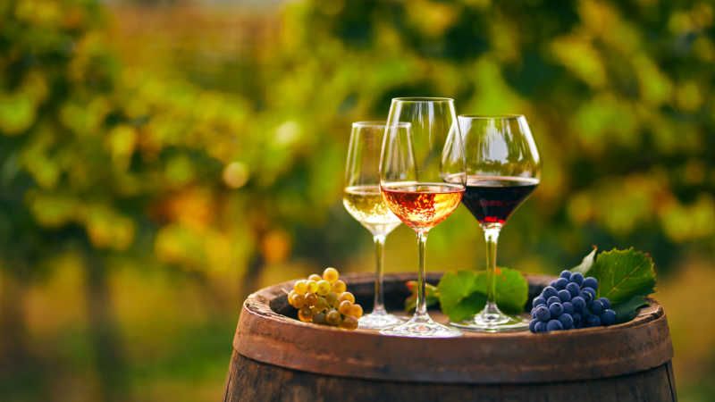 Enjoy the Exotic Wine Tasting Festivals