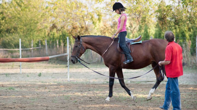 Horse Riding in Riyadh: 6 Best Clubs for Thrill and Excitement for You