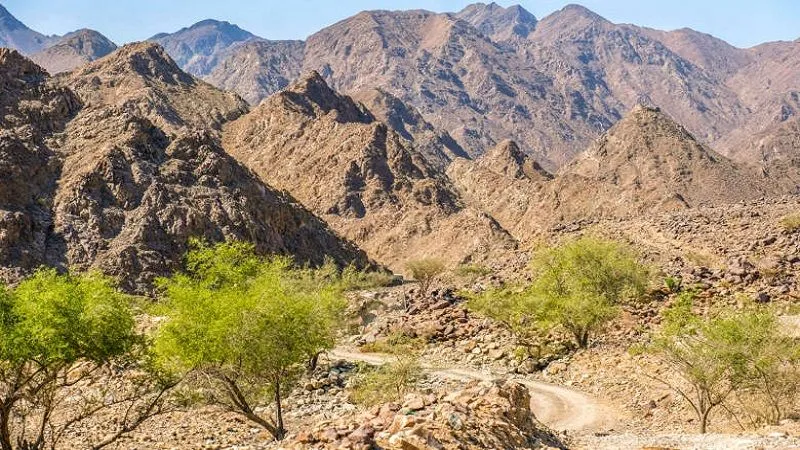Conquer the Hajar Mountain Wadis with a Hike