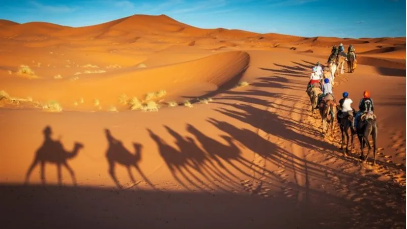 مغامرات الصحراء في المملكة العربية السعودية