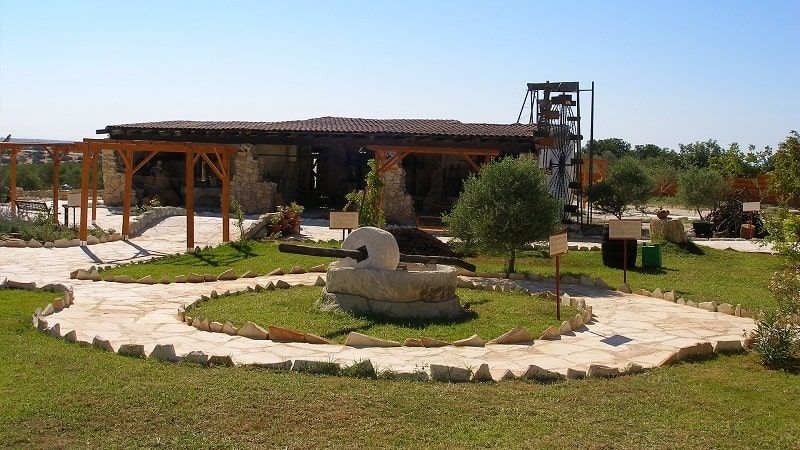 Oleastro Olive Park & Museum