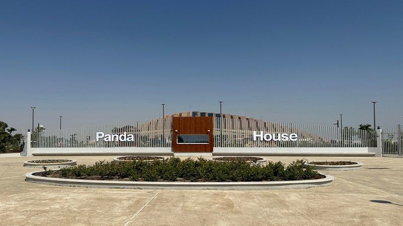 Panda House Park Al Khor: The Giant Mountain Pandas in Heat of Qatar