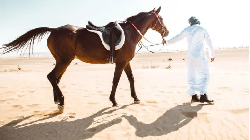 مركز الخور لركوب الخيل