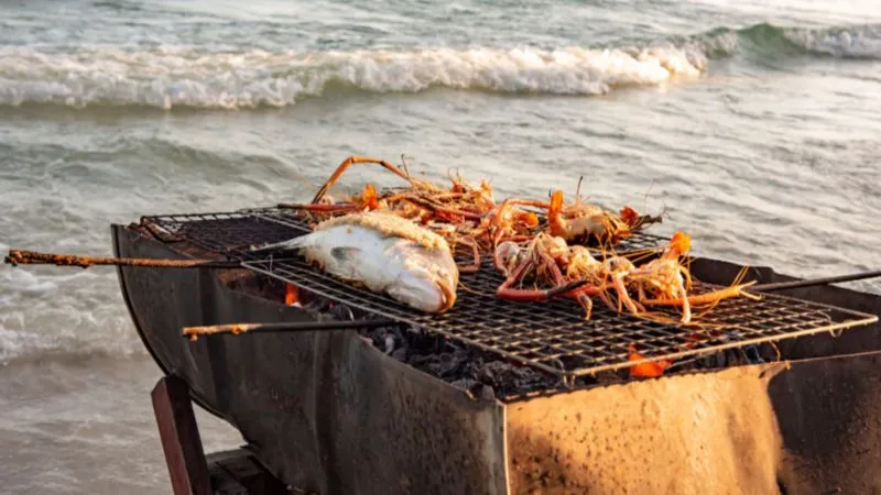 Campfire and Barbeque