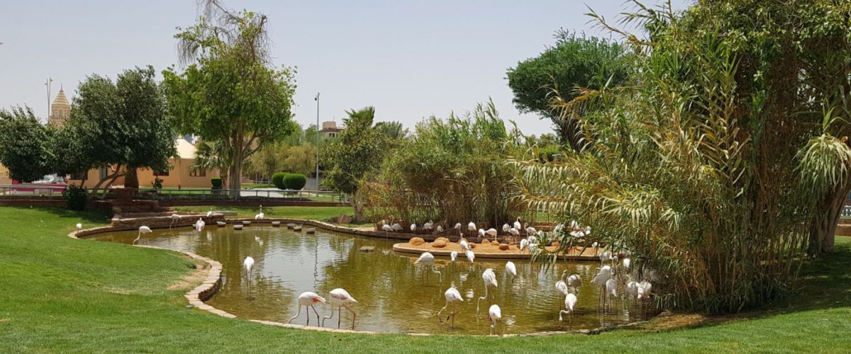 King Abdullah Park