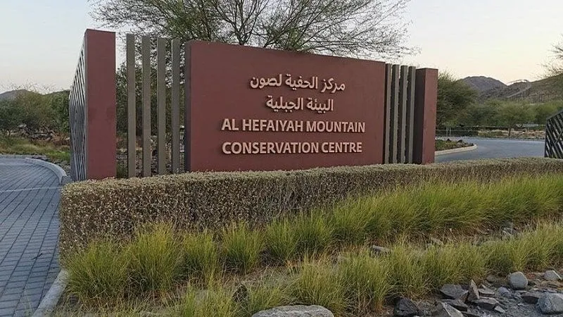Al Hefaiyah Mountain
