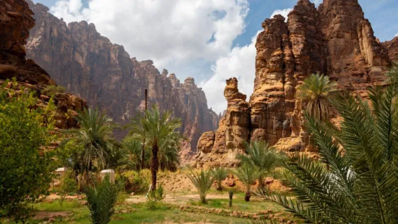 Get the Magnificent Tour of Wadi Al Disah