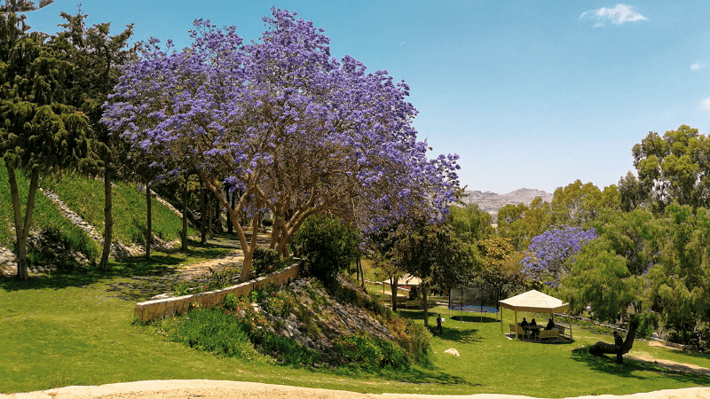 Abu Kheyal Park