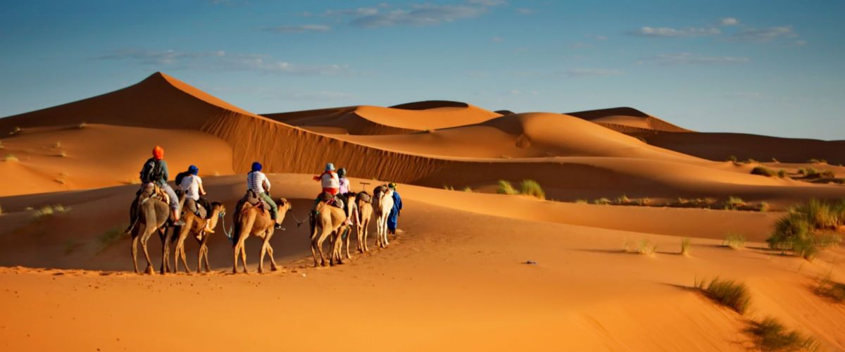 Top Things to Do in Abu Dhabi: For an Ebullient Holiday in the Captivating City