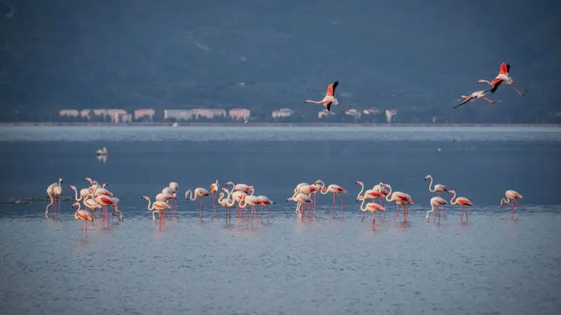 Izmir Wildlife Park—Home of Exotic Flora and Fauna