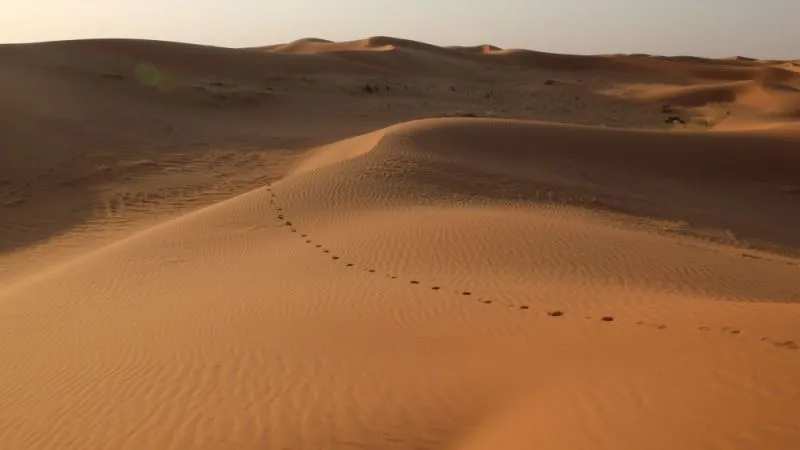 Al Nafud Desert