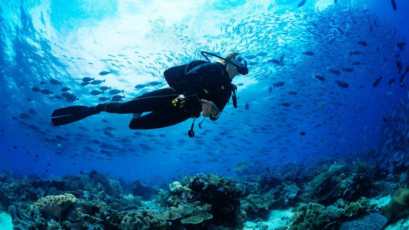 Try Scuba Diving at Abu Qir Beach