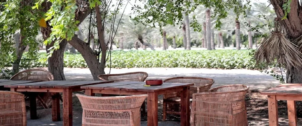 مزرعة حينة سالمة في قطر: اقترب من الطبيعة واستمتع بالأجواء الهادئة