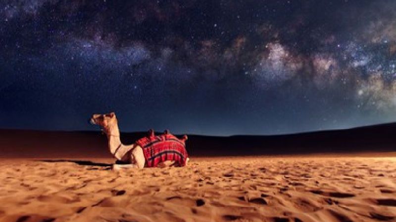Take the Beautiful Overnight Desert Safari 