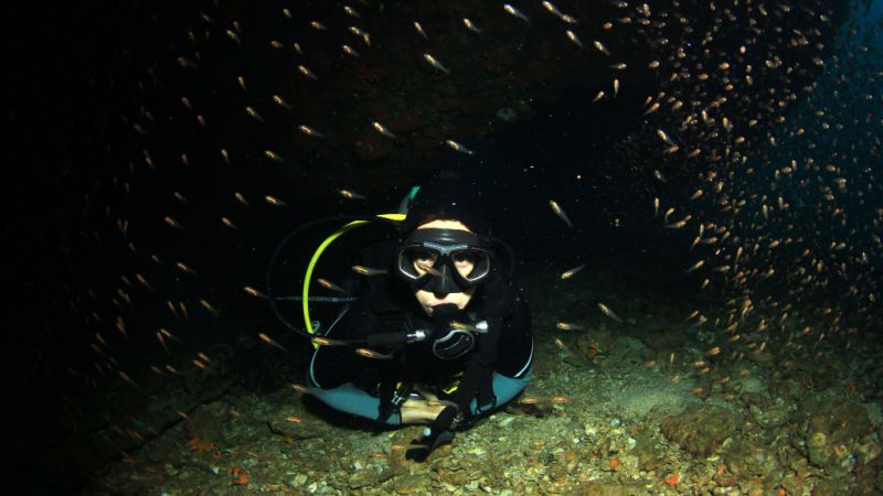 Witness the Marine Life During Night Diving with Al Boom