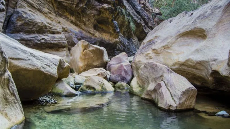 Take a Dip in the Fresh Waters of Wadi Jalab 