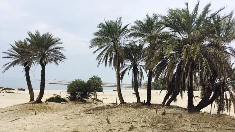 زيارة شاطئ أم باب قطر