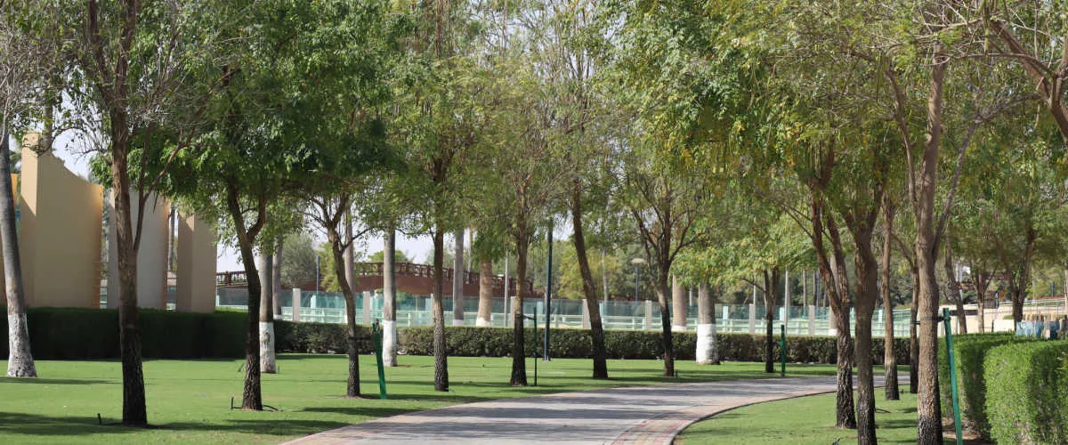 Best Parks in Al Khor: Perfect Spots to Enjoy Leisure Time