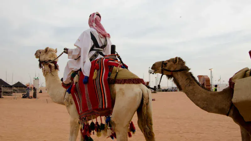Take a Relaxing Camel Ride