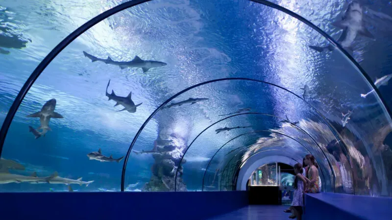Fakieh Aquarium Jeddah