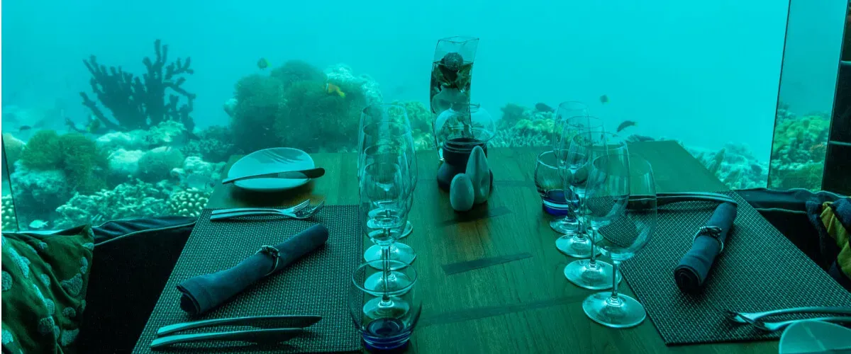 8 Best Underwater Restaurants in Maldives: Discover the Magic of Oceanic Gastronomy