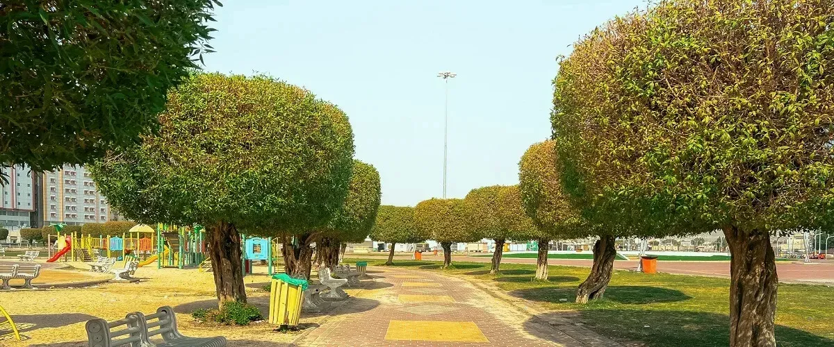 حديقة الحسينية الجديدة مكة: اشحن روحك بالعلاج الأخضر