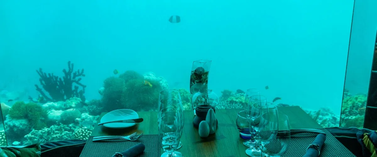 Ithaa Undersea Maldives: World’s First Underwater Dining Experience