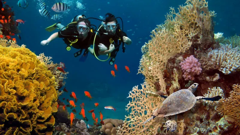 Admire the Scenery while Scuba Diving
