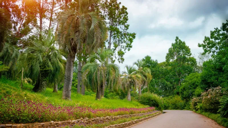 Batumi Botanical Garden