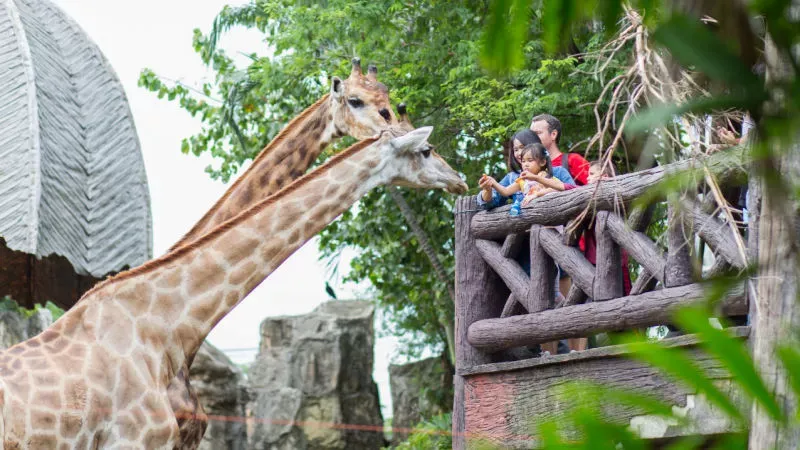 Dusit Zoo: Visit this Wonderland for an Up-Close Encounter with Animals