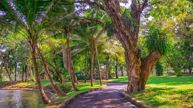 Lumpini Park: Stroll in the First Public Park in Bangkok