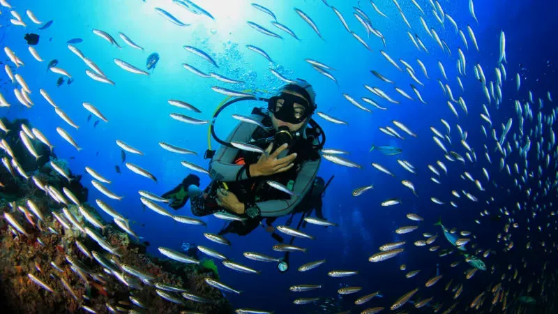 Scuba Dive at the Belle Mare Beach