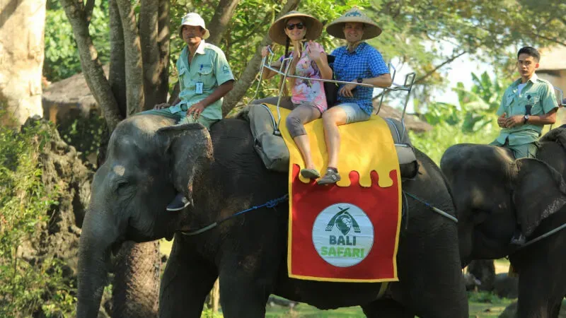 Bali Safari