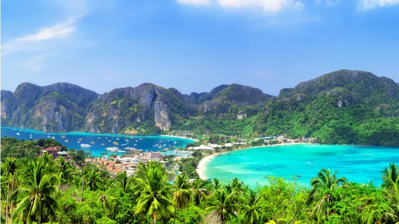 Climb Up to Phi Phi Viewpoint