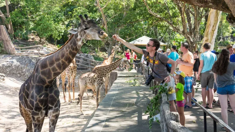 Khao Kheow Open Zoo