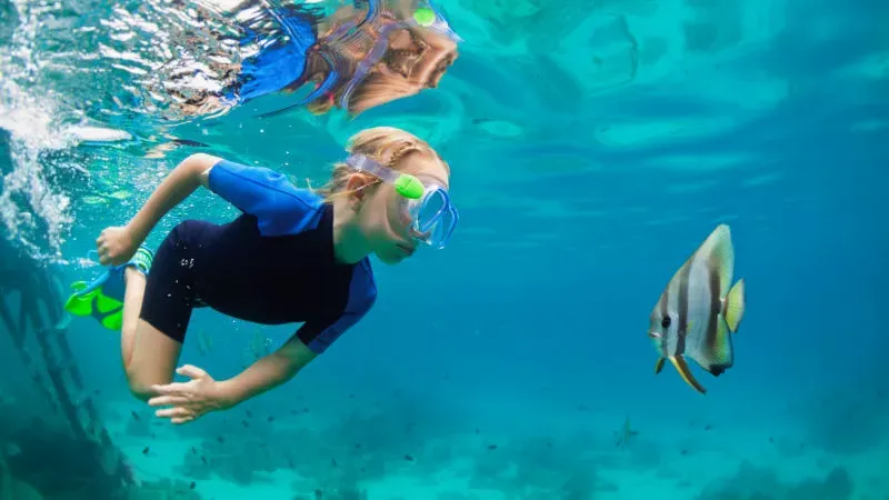 Koh Similan: Discover Colorful Aquatic Life
