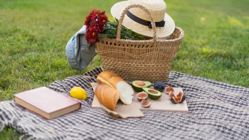 Family Picnic