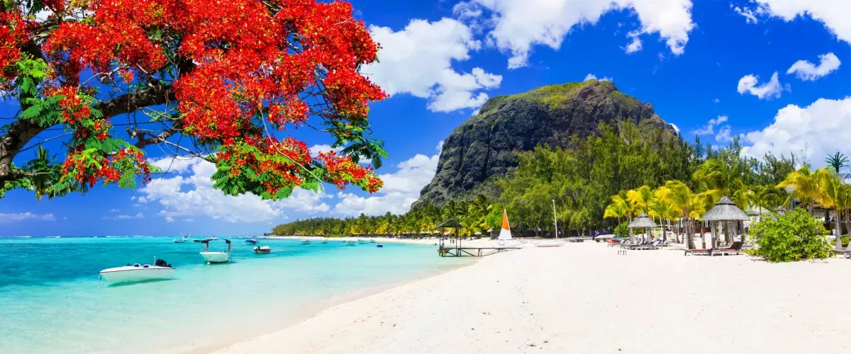 Top Islands in Mauritius: For a Rejuvenating Holiday Experience