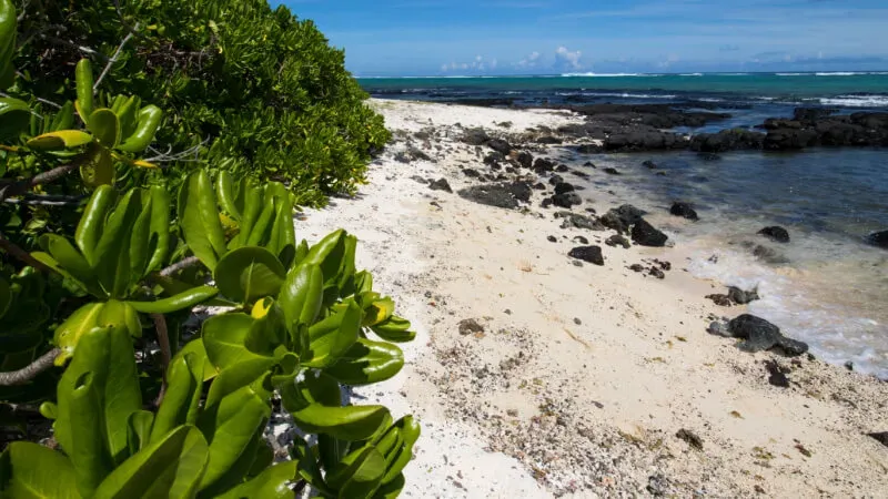 Ile des Deux Cocos