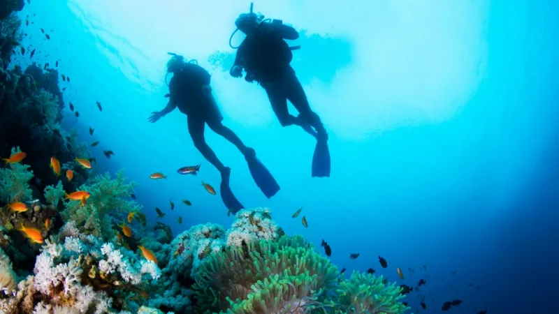 Scuba Diving, Thailand