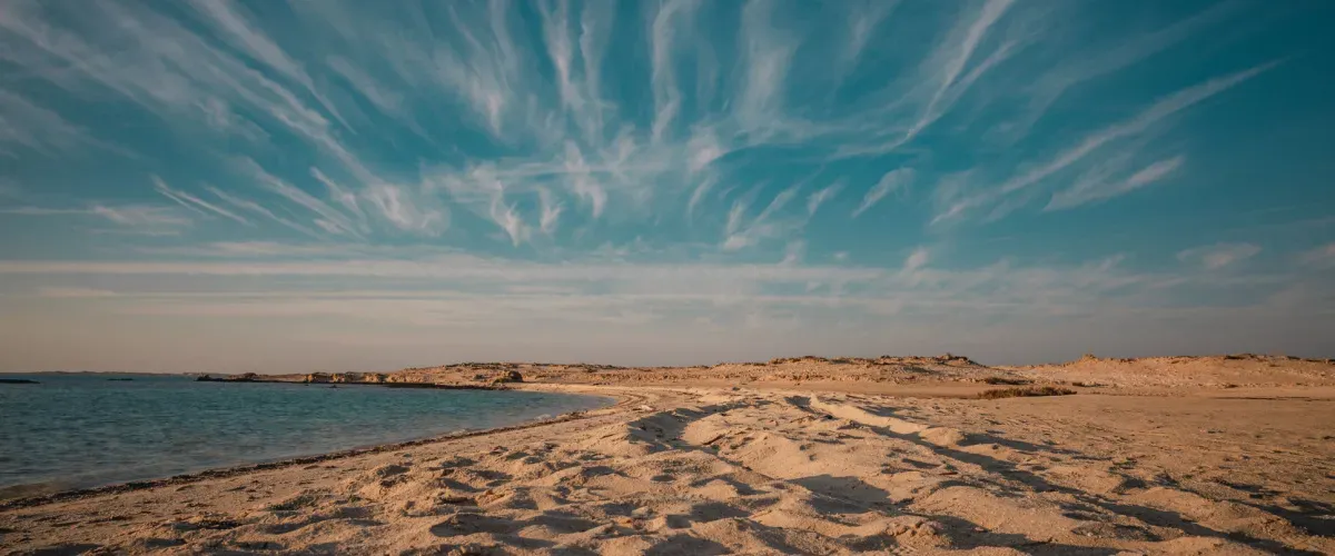 شاطئ زكريت في قطر: الجنة المثالية في الدولة