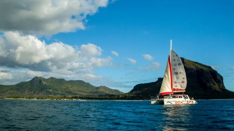 Enjoy the Catamaran Cruise