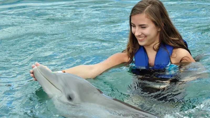Swimming with Dolphins in Tamarin Bay