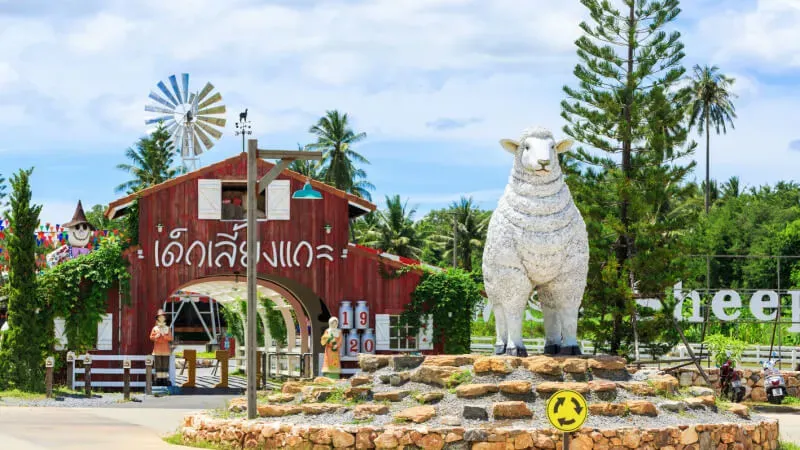 Pattaya Sheep Farm and Adventure Park