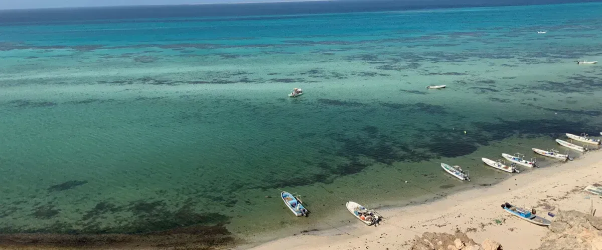 جزر فرسان، المملكة العربية السعودية: اكتشف أفضل أسرار البحر الأحمر