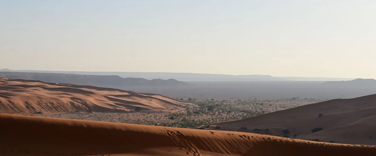 Al Kharrarah National Park: Discover Adventure in Saudi Arabia's Desert Oasis